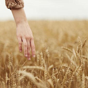 Quality Sleep is Essential in Healing: A Naturopathic Perspective