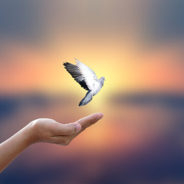 Holistic Approaches to ADHD