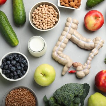 Why Gut Health is the Root of Optimal Health